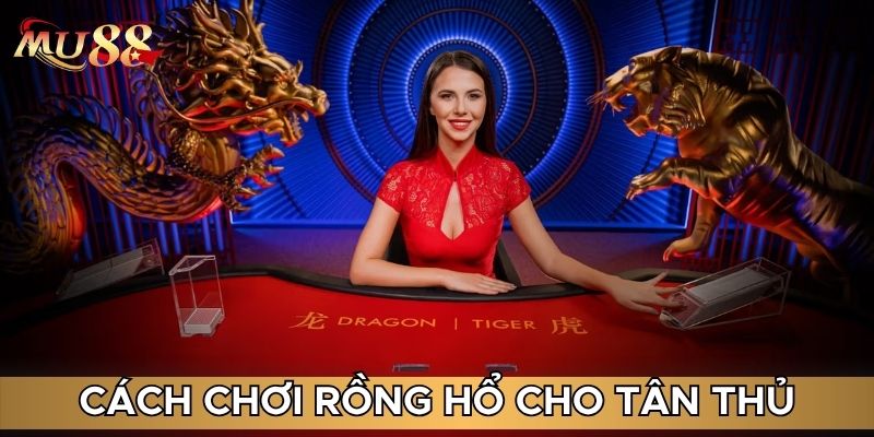 Cách chơi game cho tân thủ
