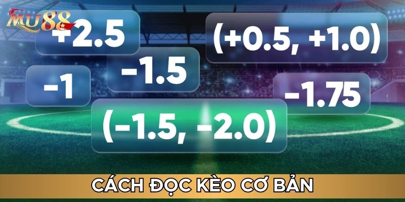 Cách đọc kèo cơ bản
