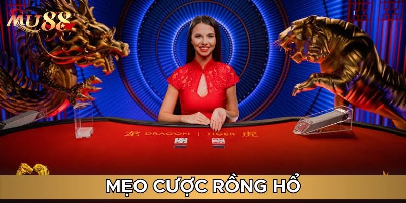 Mẹo cược Rồng Hổ
