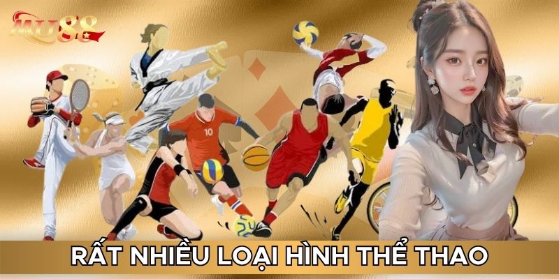 Rất nhiều loại hình thể thao